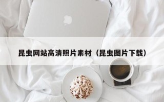 余姚昆虫网站高清照片素材（昆虫图片下载）